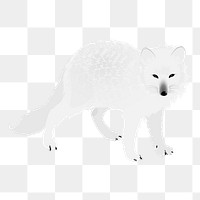 Arctic fox png sticker, animal illustration on transparent background. Free public domain CC0 image.