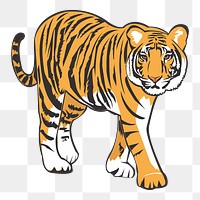 Tiger png sticker, animal illustration on transparent background. Free public domain CC0 image.