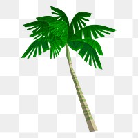 Palm tree png sticker, botanical illustration on transparent background. Free public domain CC0 image.