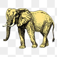 Elephant png sticker, wildlife illustration on transparent background. Free public domain CC0 image.