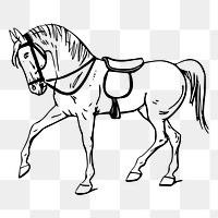 Horse png sticker, vintage animal illustration on transparent background. Free public domain CC0 image.