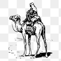 Camel rider png sticker, vintage desert illustration on transparent background. Free public domain CC0 image.
