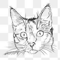 Cat portrait png sticker, vintage animal illustration on transparent background. Free public domain CC0 image.