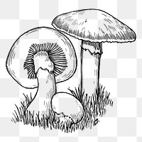 Mushroom png sticker, vintage vegetable illustration on transparent background. Free public domain CC0 image.