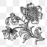 Ornamental flower png sticker, vintage botanical illustration on transparent background. Free public domain CC0 image.