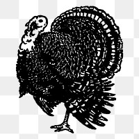 Turkey bird png sticker, vintage animal illustration on transparent background. Free public domain CC0 image.