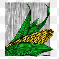 Corn png sticker, vintage vegetable illustration on transparent background. Free public domain CC0 image.