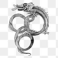 Chinese dragon png sticker, vintage mythical creature illustration on transparent background. Free public domain CC0 image.