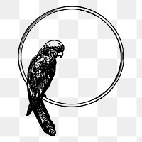 Bird frame png sticker, vintage animal illustration on transparent background. Free public domain CC0 image.