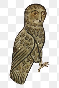 Owl png sticker medieval bird illustration, transparent background. Free public domain CC0 image.