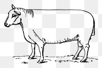 Sheep png sticker animal illustration, transparent background. Free public domain CC0 image.