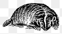 Badger png sticker illustration, transparent background. Free public domain CC0 image