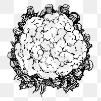 Cauliflower png sticker illustration, transparent background. Free public domain CC0 image