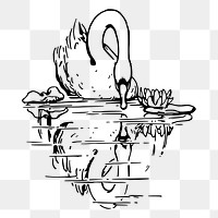 Swan png sticker illustration, transparent background. Free public domain CC0 image