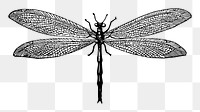 Dragonfly insect png sticker illustration, transparent background. Free public domain CC0 image