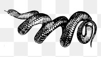 Snake png sticker illustration, transparent background. Free public domain CC0 image