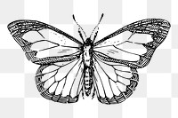 Butterfly  png sticker illustration, transparent background. Free public domain CC0 image.