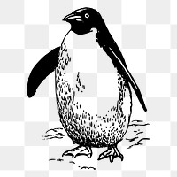Penguin png sticker illustration, transparent background. Free public domain CC0 image.