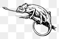 Chameleon png sticker illustration, transparent background. Free public domain CC0 image.