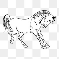 Horse png sticker, animal illustration on transparent background. Free public domain CC0 image.