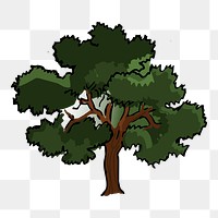 Lone tree png sticker, botanical illustration on transparent background. Free public domain CC0 image.