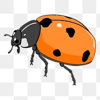 Ladybug png sticker, insect illustration on transparent background. Free public domain CC0 image.
