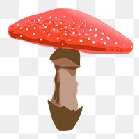 Red mushroom png sticker, vegetable illustration on transparent background. Free public domain CC0 image.