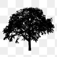 Tree silhouette png sticker, botanical illustration on transparent background. Free public domain CC0 image.