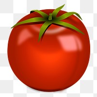 Tomato png sticker, vegetable illustration on transparent background. Free public domain CC0 image.