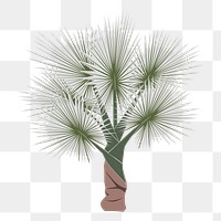 Palm tree png sticker, tropical illustration, transparent background. Free public domain CC0 image