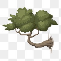 Bonsai tree png sticker, botanical illustration, transparent background. Free public domain CC0 image