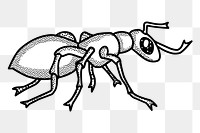 Ant png sticker, animal illustration, transparent background. Free public domain CC0 image