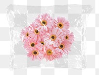 Pink gerbera png flowers plastic bag sticker, Spring concept art on transparent background