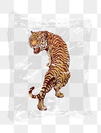 Roaring tiger png plastic bag sticker, wildlife concept art on transparent background