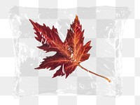 Maple leaf png plastic bag sticker, Autumn aesthetic concept art on transparent background