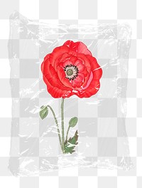 Red poppy png flower plastic bag sticker, Spring concept art on transparent background