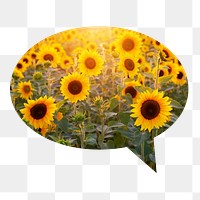 Sunflower field png badge sticker, Spring photo in speech bubble, transparent background