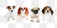 Cute dogs png sticker, pet image on transparent background