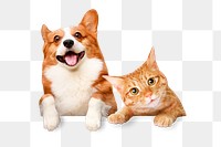 Png cat and dog sticker, pet image on transparent background