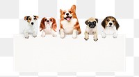 Cute dogs png frame sticker, pet animal image on transparent background