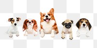 Cute dogs png sticker, pet image on transparent background