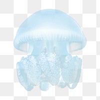 Blue jellyfish png sticker, sea animal on transparent background