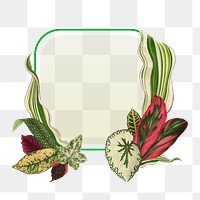 Leaf frame png, green botanical illustration, transparent background