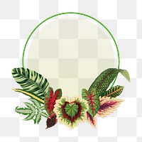 Leaf frame png, green botanical illustration, transparent background