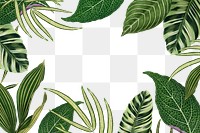 Leaf frame png, green botanical illustration, transparent background