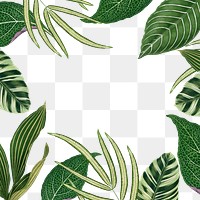 Leaf frame png, green botanical illustration, transparent background