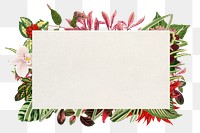 Aesthetic flower frame png, floral illustration, transparent background