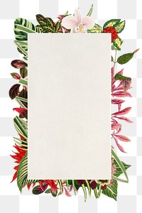 Aesthetic flower frame png, floral illustration, transparent background