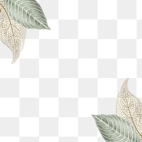 Leaf border frame png, green botanical illustration, transparent background