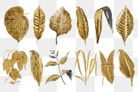 Gold leaf png sticker, aesthetic nature illustration on transparent background set